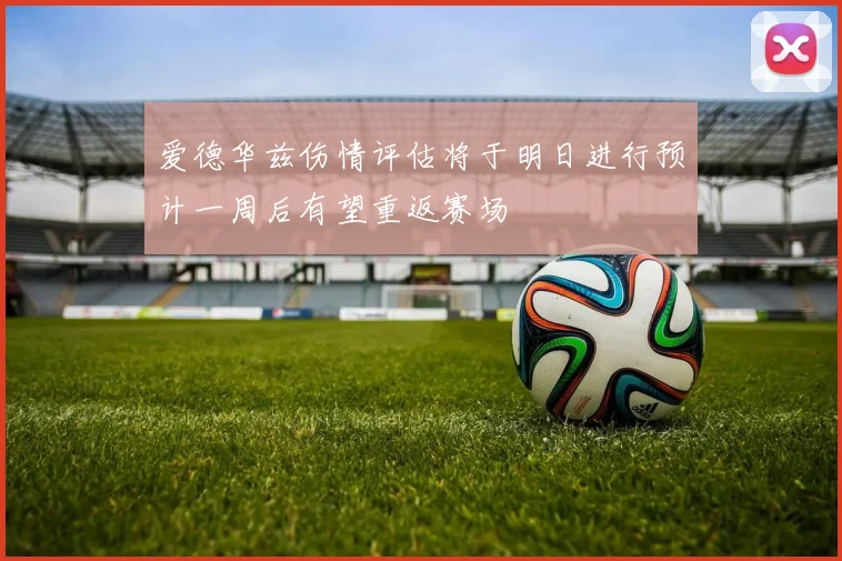 爱德华兹伤情评估将于明日进行预计一周后有望重返赛场