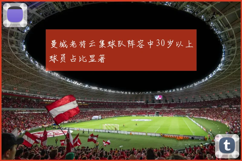 曼城老将云集球队阵容中30岁以上球员占比显著