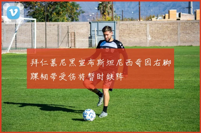 拜仁慕尼黑宣布斯坦尼西奇因右脚踝韧带受伤将暂时缺阵