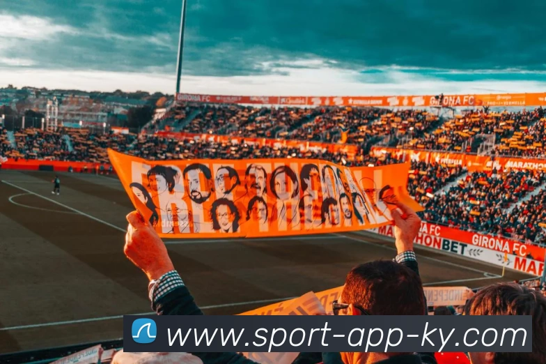 App Interface Preview