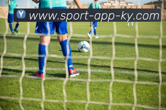 开云体育APP 封面图